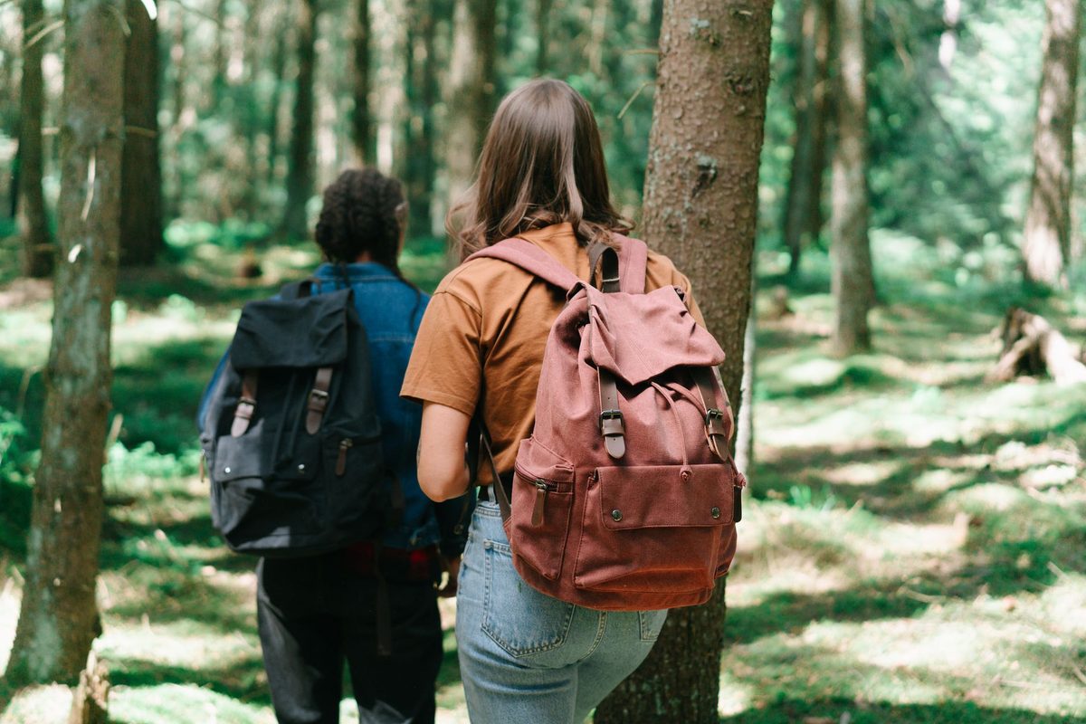 10 Best Backpack Shopify Stores (2026)