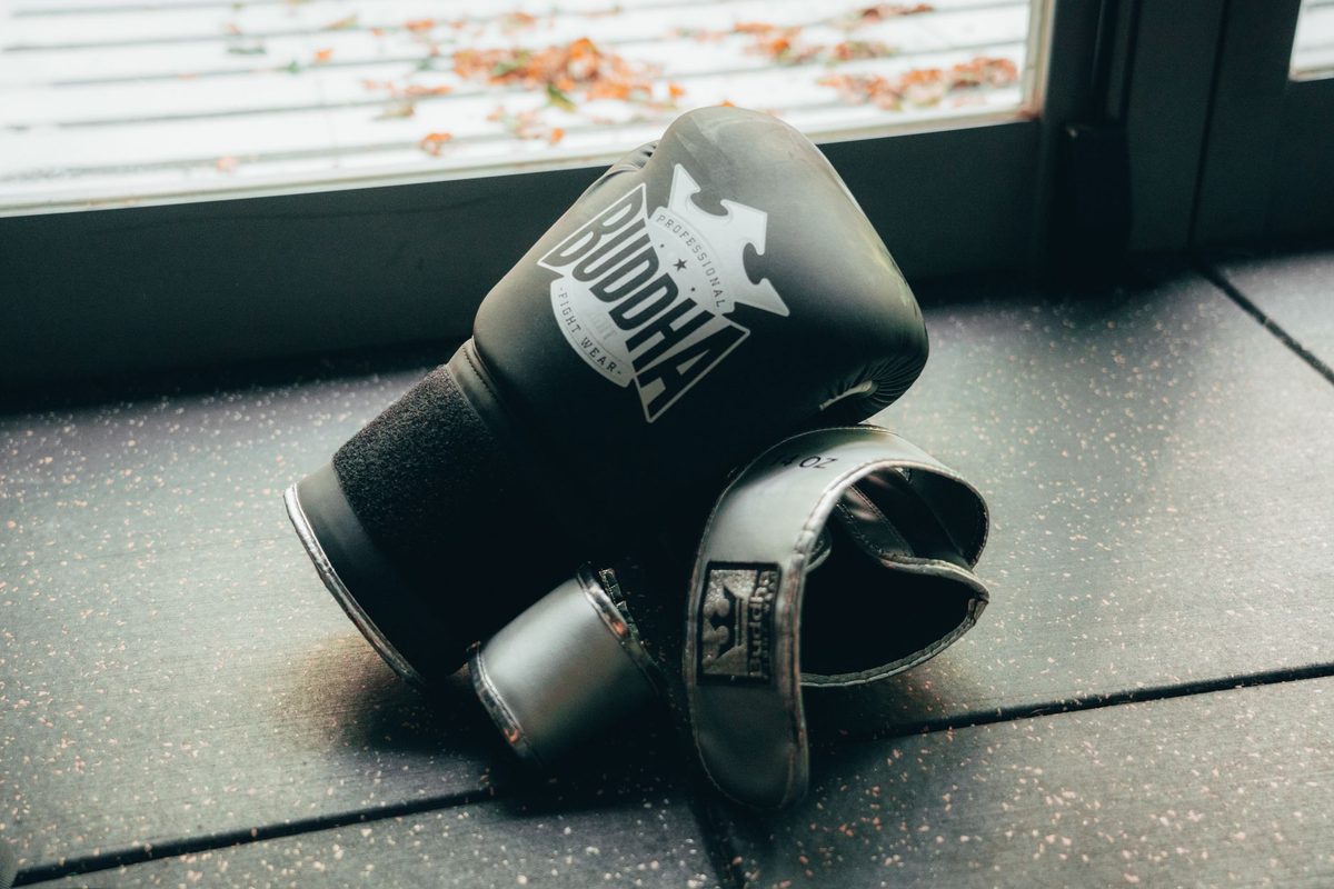 10 Best Boxing Shopify Stores (2026)