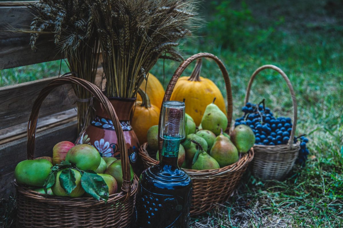 10 Best Cider Shopify Stores (2026)