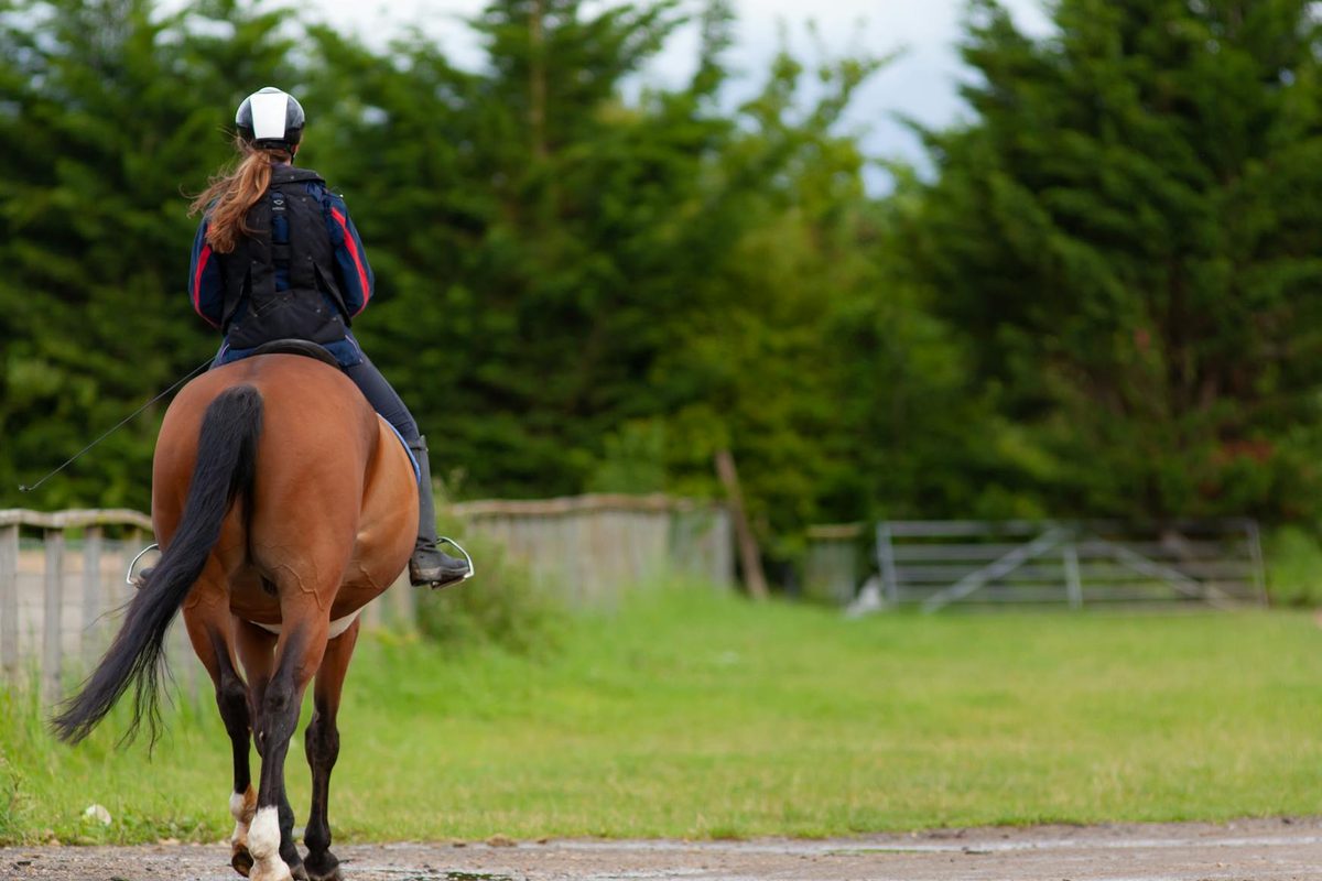 10 Best Equestrian Shopify Stores (2026)