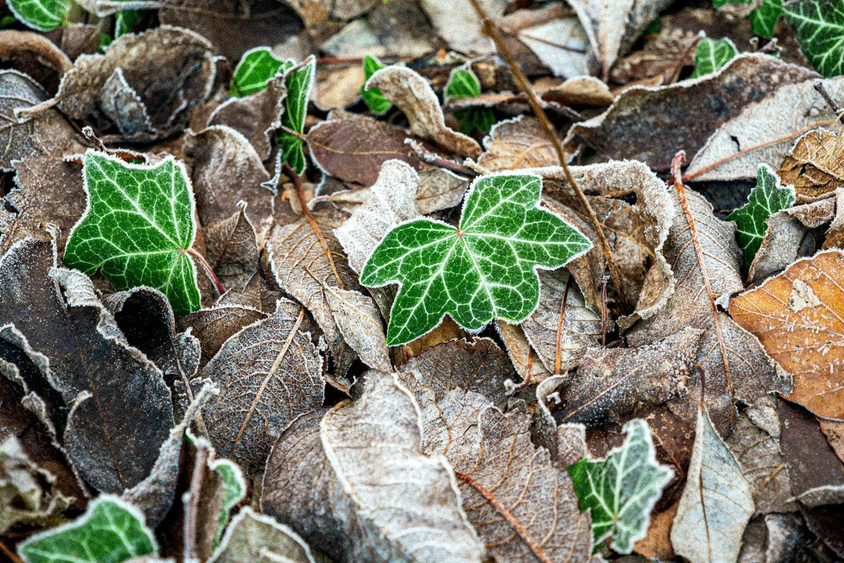 Shopify Autumn and Winter Prep: How to Get Your Store Ready for Q4