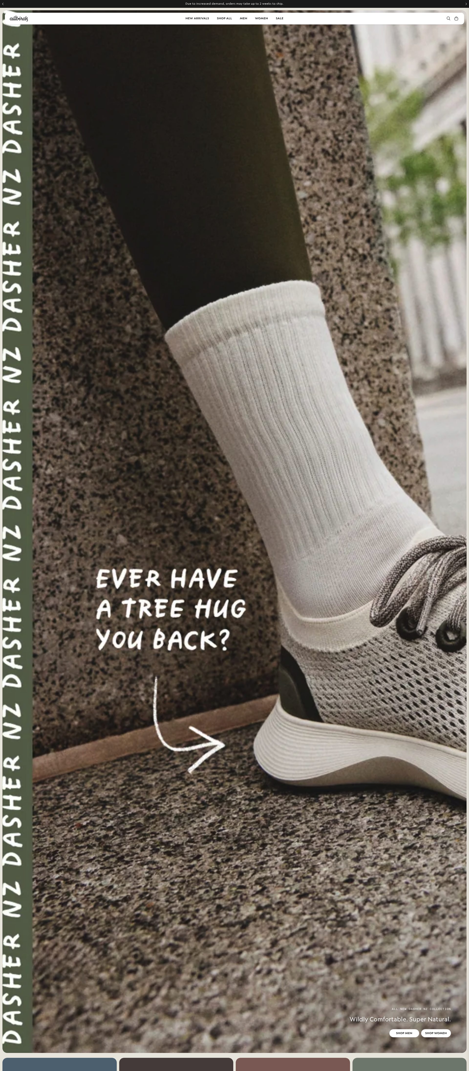 Allbirds homepage screenshot
