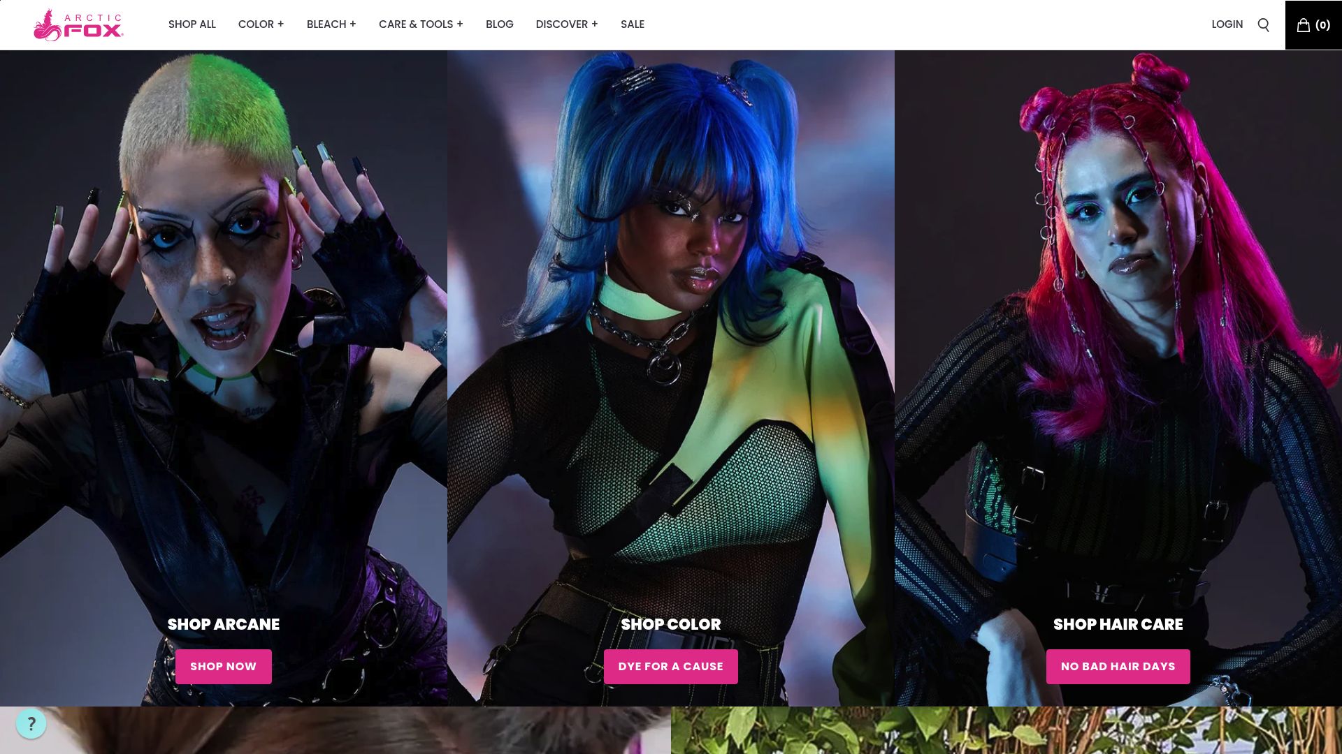 Arctic Fox homepage screenshot
