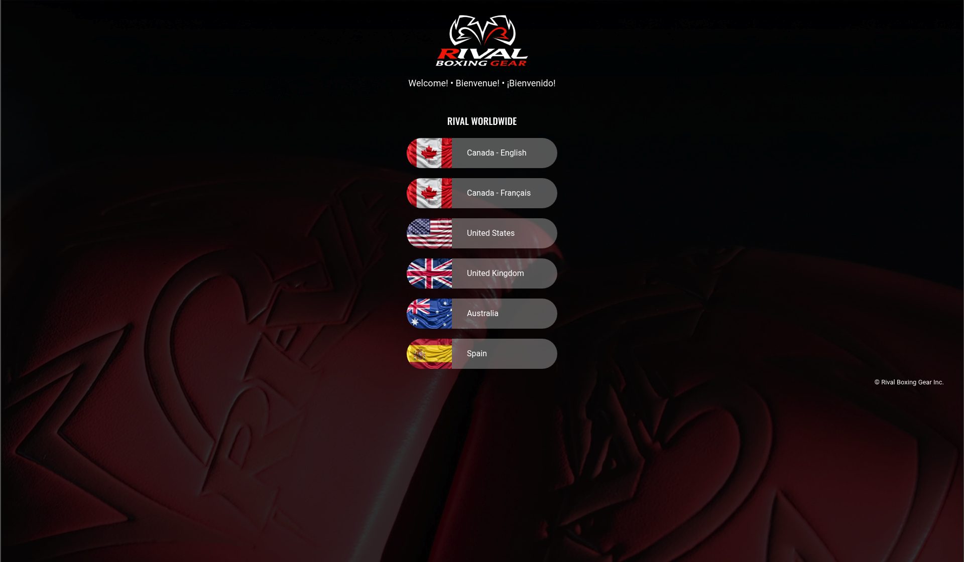 Rival Boxing homepage