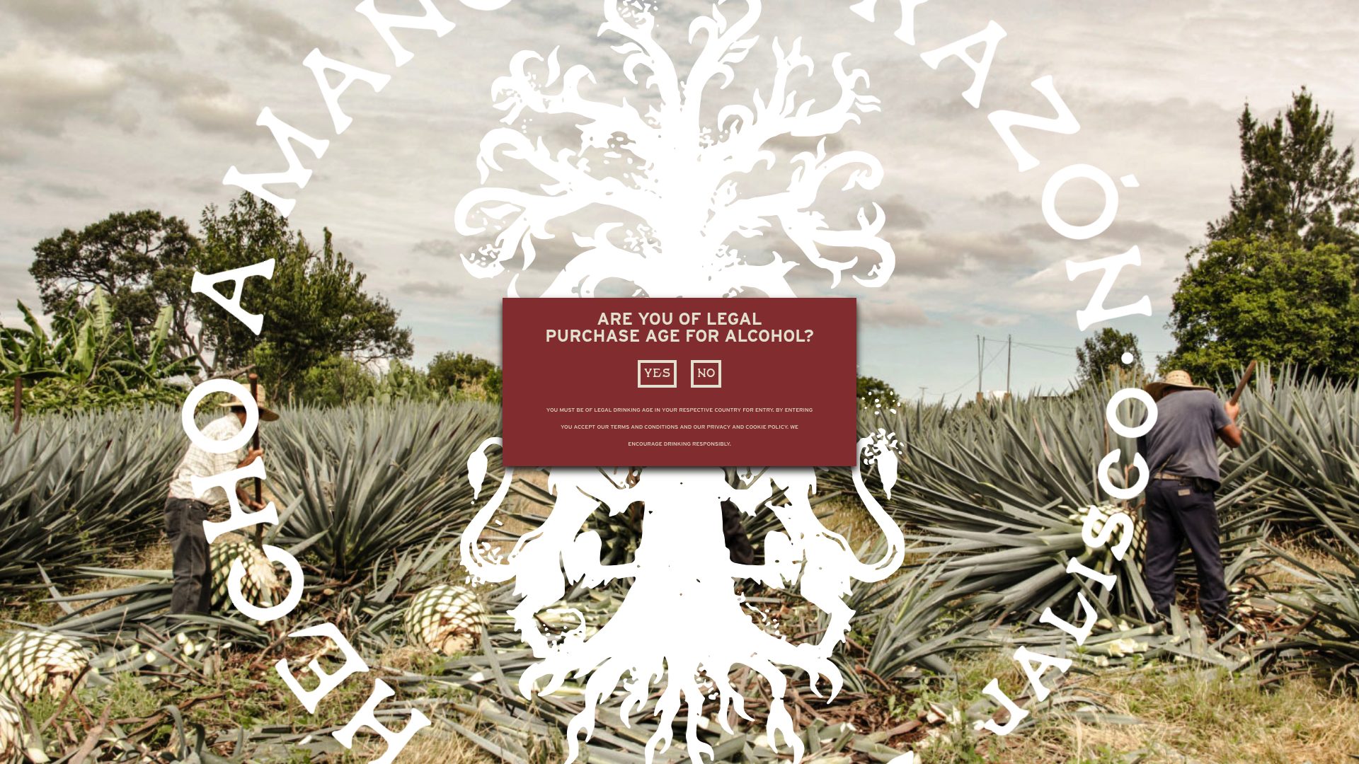 Tequila Ocho homepage